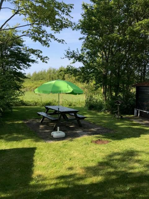 Zandput 41 Zoutelande Exteriör bild